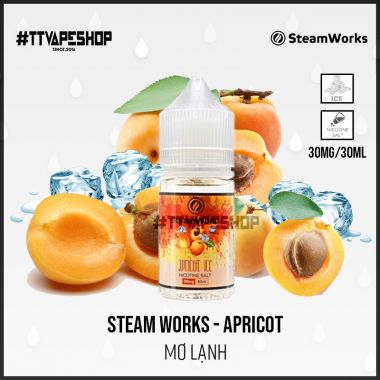 Steam Works Saltnic 30mg/30ml - Apricot - Mơ Lạnh
